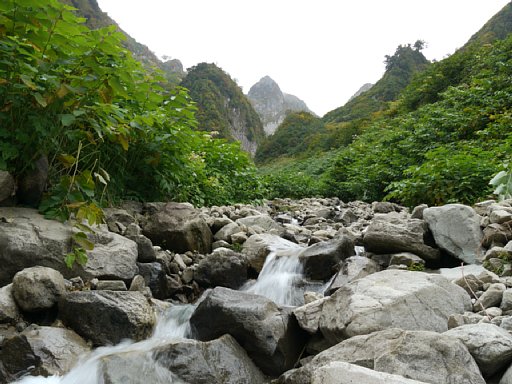 P1030422.JPG