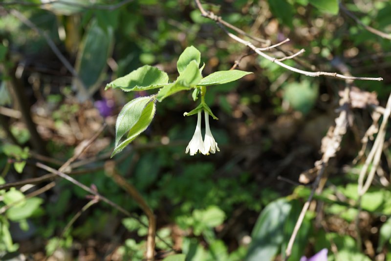 DSC07551.JPG