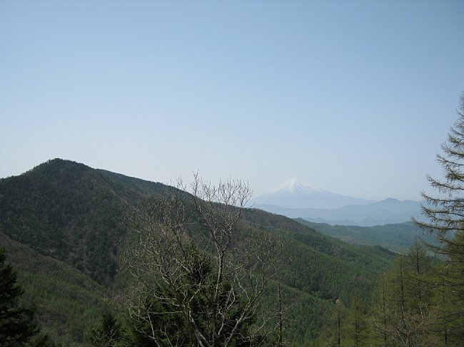 IMG_0420.jpg