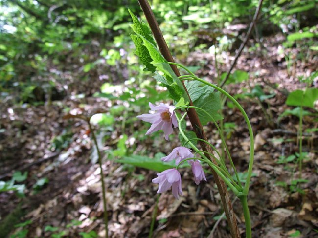DSCF3563.JPG