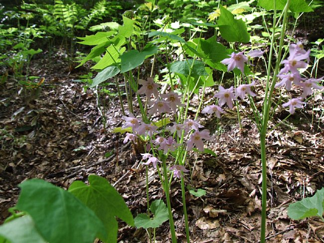 DSCF3569.JPG