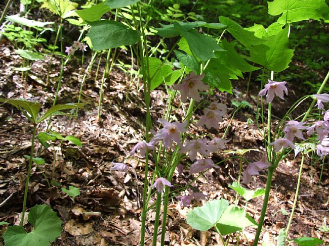 DSCF3579.JPG