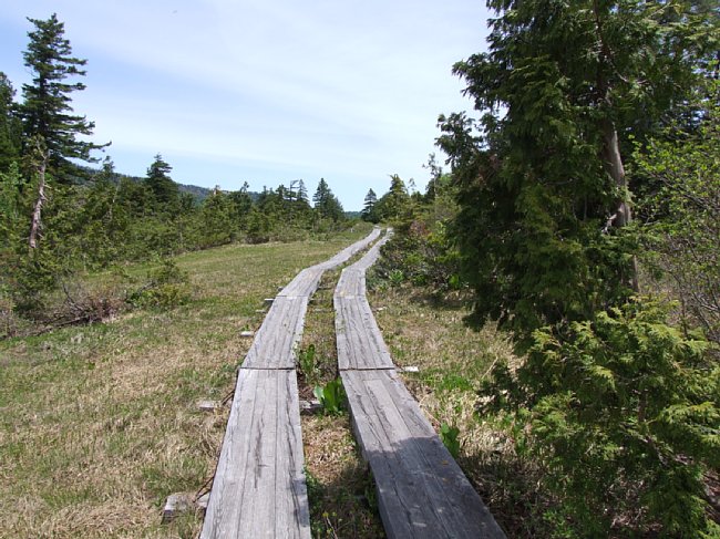 DSCF3595.JPG