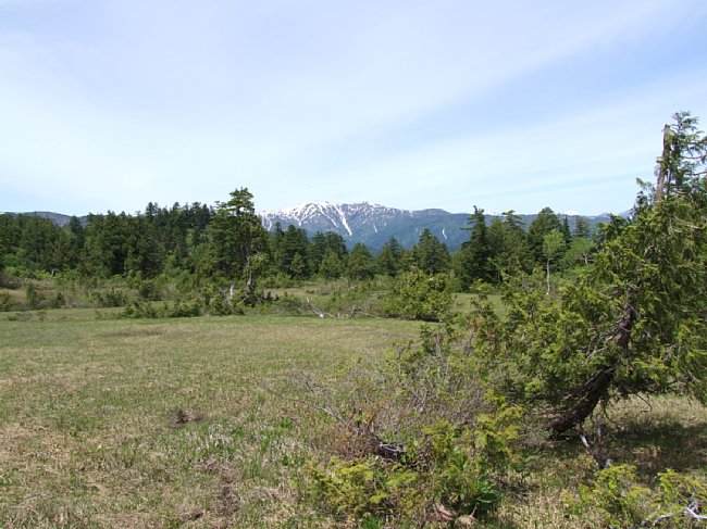 DSCF3597.JPG