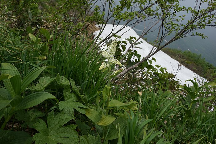 dsc08523.jpg