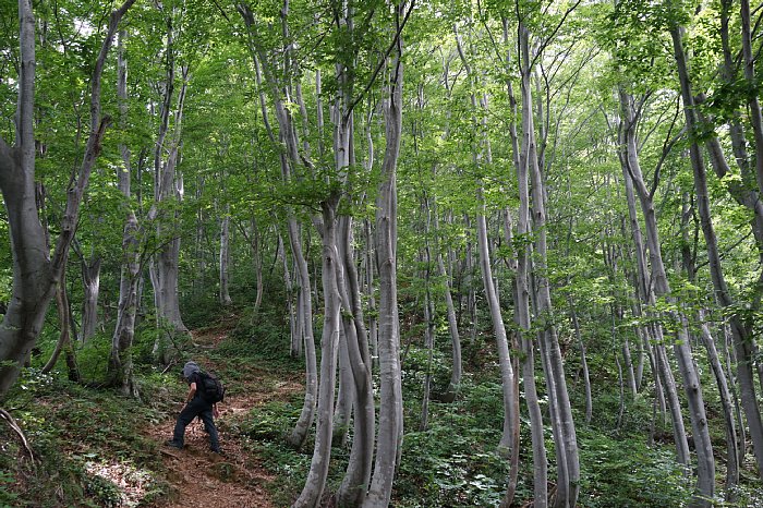 DSC09956.JPG