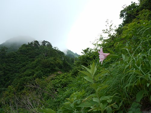 P1010260.JPG