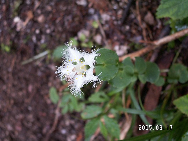 PICT2065.JPG