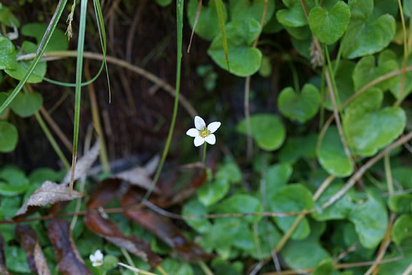DSC02205.JPG