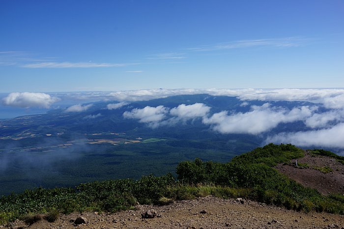 DSC08780.jpg