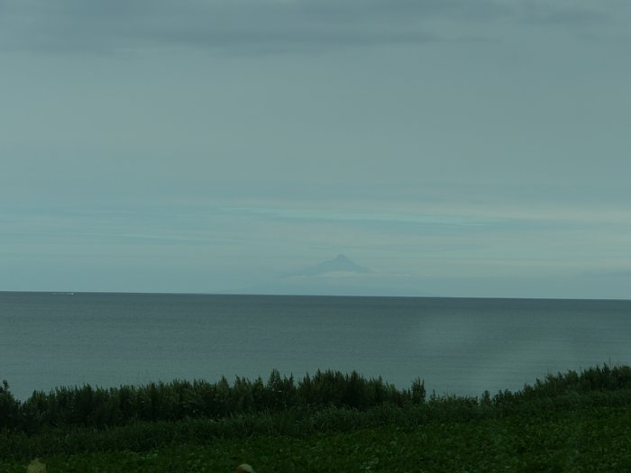 P1030892.jpg