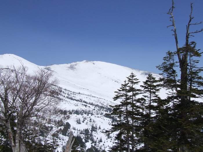 DSCF7888.JPG