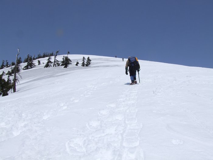 DSCF7938.JPG