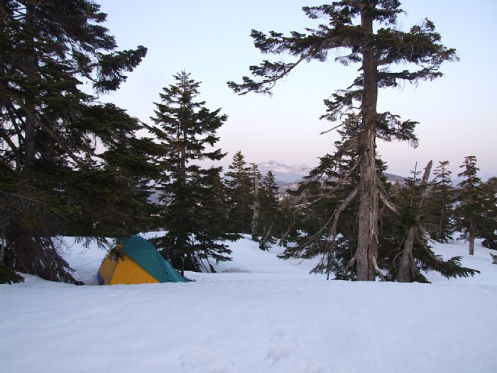 DSCF7949.JPG