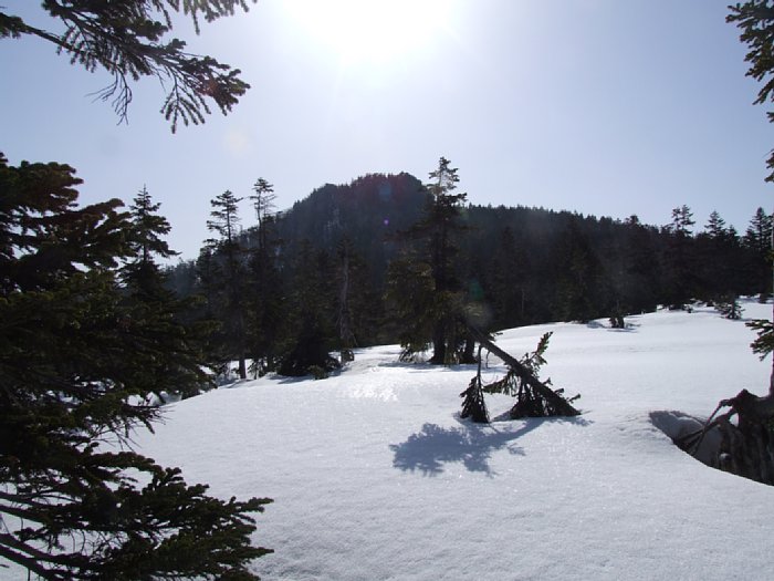 DSCF7952.JPG