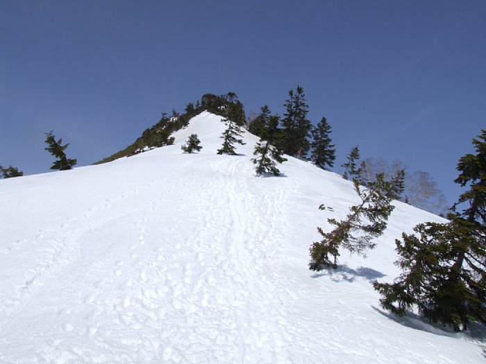 DSCF7965.JPG